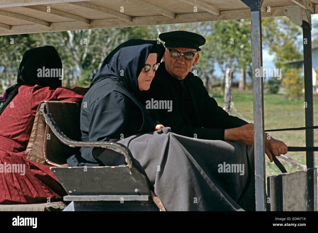 Les Mennonites en voiture à cheval de Barton Creek communauté orthodoxe, Belize, en Amérique centrale, Juin 1985 Banque D'Images