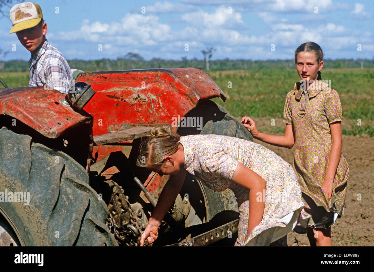 Des mennonites de la Spanish Lookout de travail Règlement sur les terres agricoles, Belize, en Amérique centrale, Juin 1985 Banque D'Images
