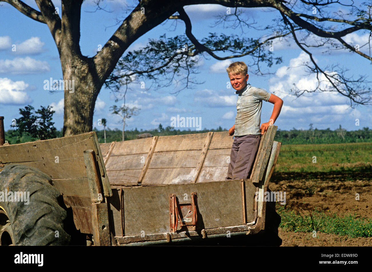 Des mennonites de la Spanish Lookout de travail Règlement sur les terres agricoles, Belize, en Amérique centrale, Juin 1985 Banque D'Images