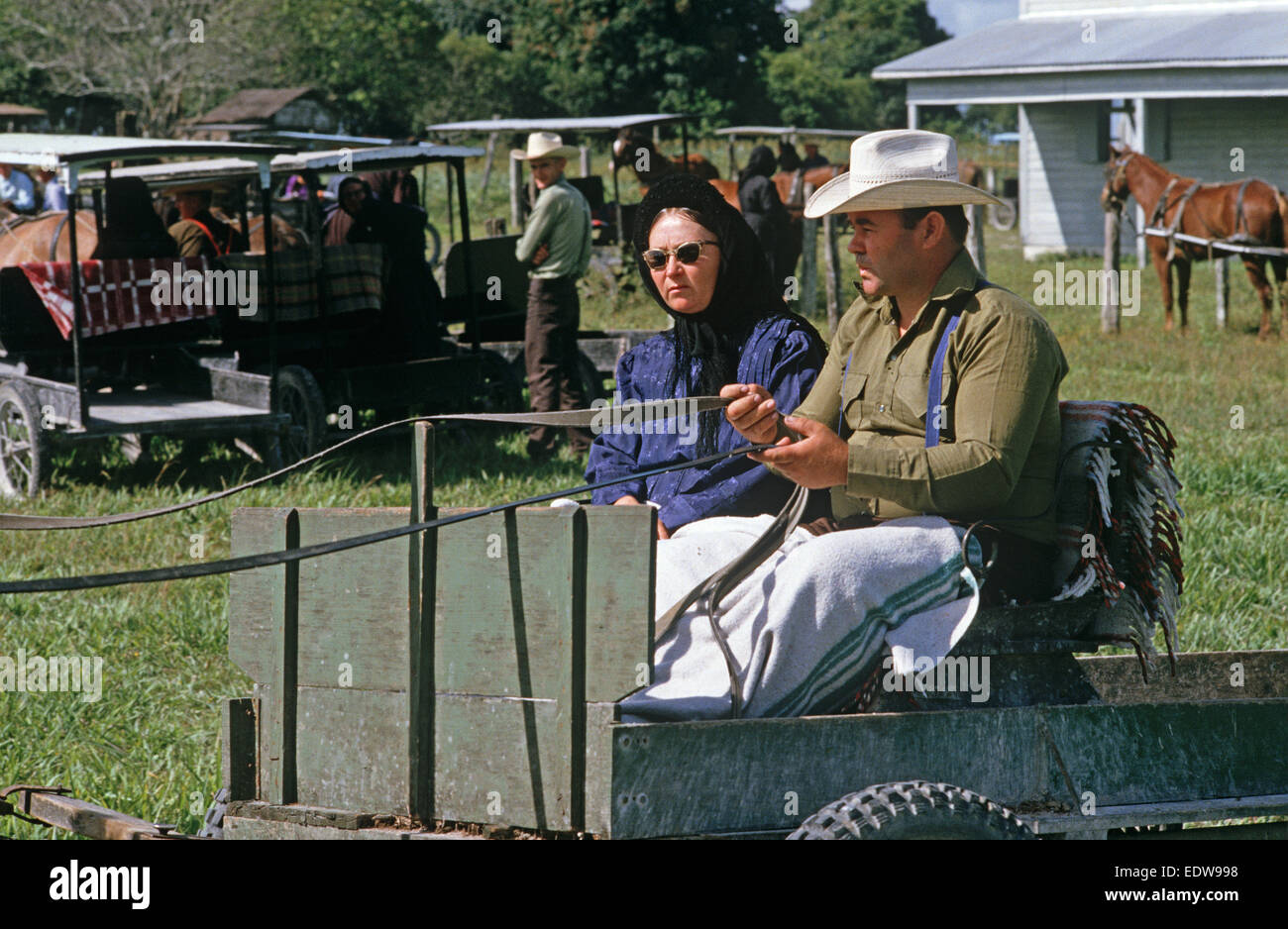 Les Mennonites orthodoxes dans le cheval et buggies, Belize, en Amérique centrale, Juin 1985 Banque D'Images