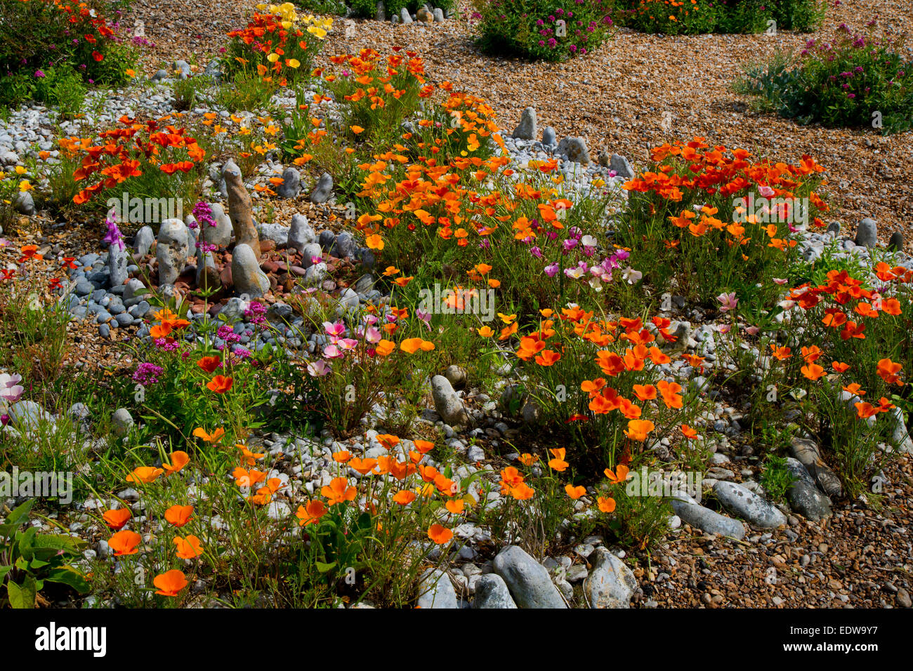 Perspective montrant dormeur Chalet jardin de galets et de close-up de fleurs Banque D'Images