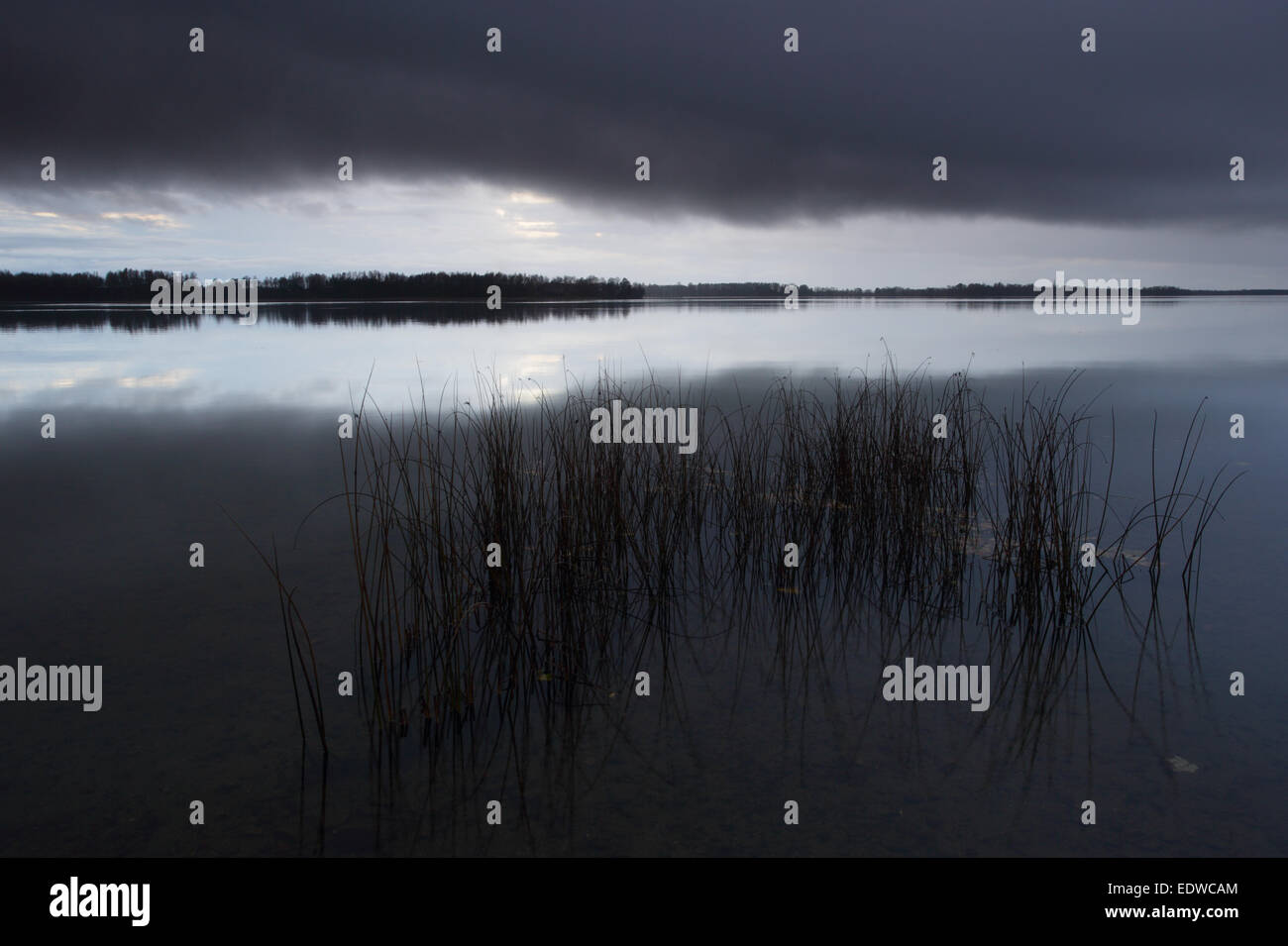 Le lac Saadjärv après le coucher du soleil. L'Estonie, Europe Banque D'Images