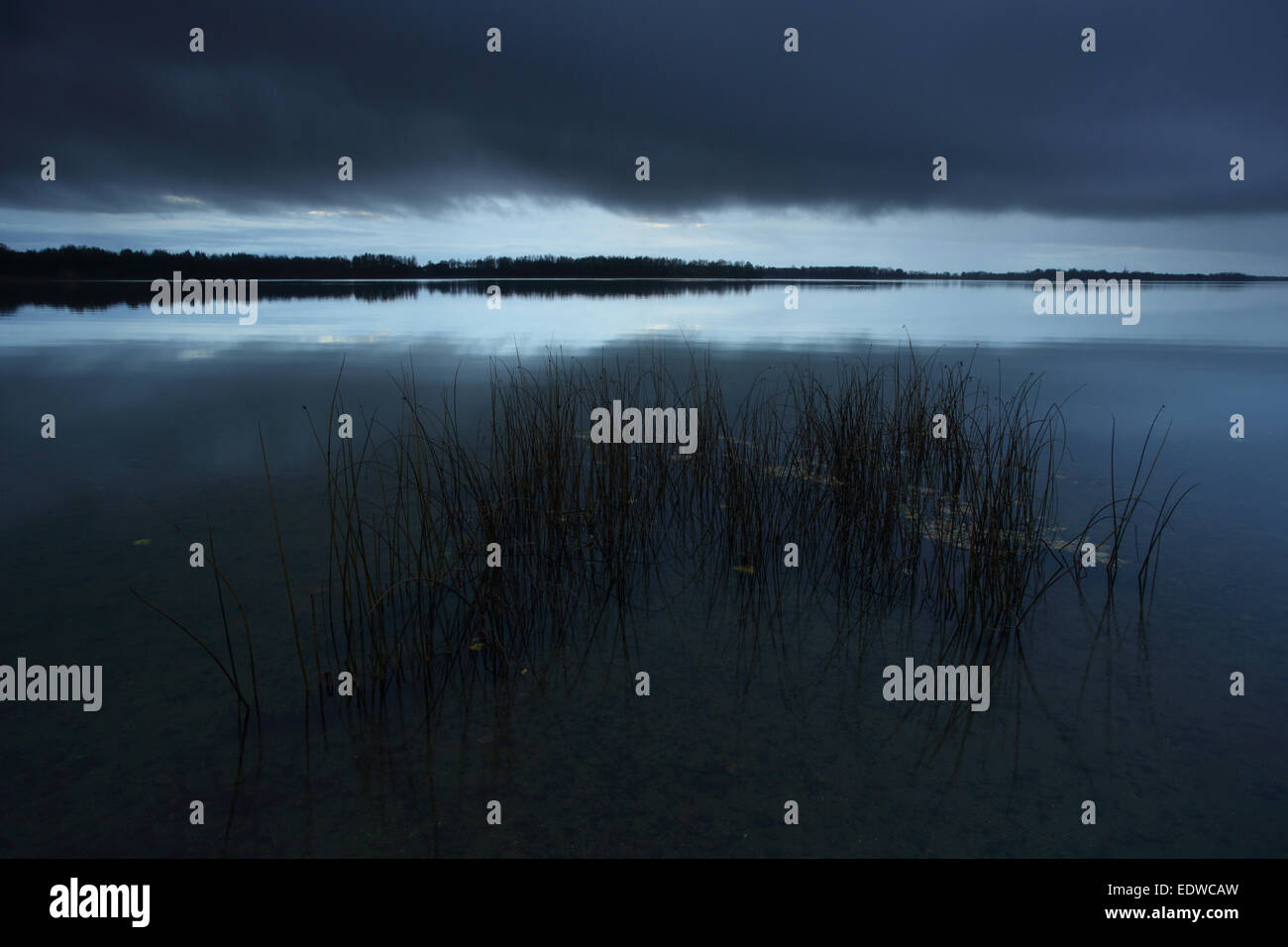 Le lac Saadjärv après le coucher du soleil. L'Estonie, Europe Banque D'Images