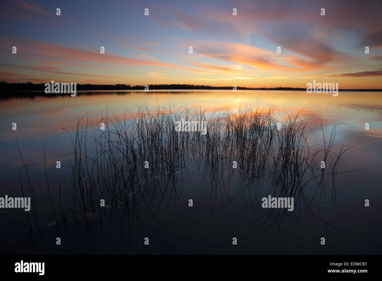 Saadjärv Lac au coucher du soleil. L'Estonie, Europe Banque D'Images