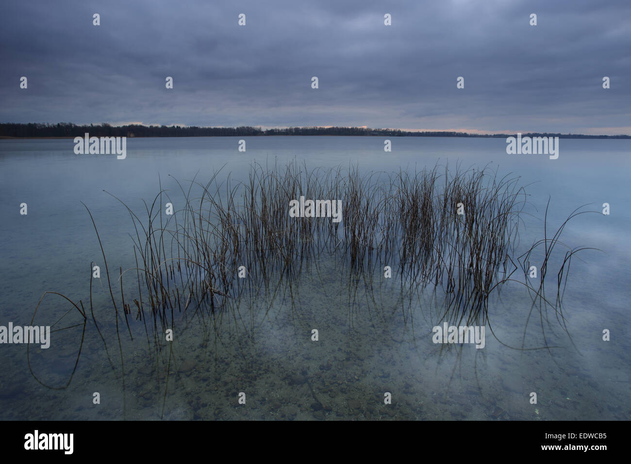 Le lac Saadjärv après le coucher du soleil. L'Estonie, Europe Banque D'Images