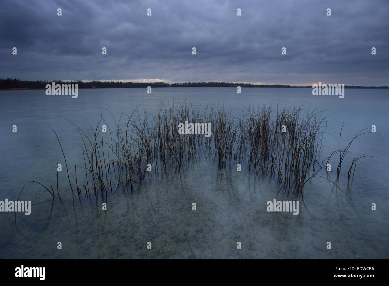 Le lac Saadjärv après le coucher du soleil. L'Estonie, Europe Banque D'Images