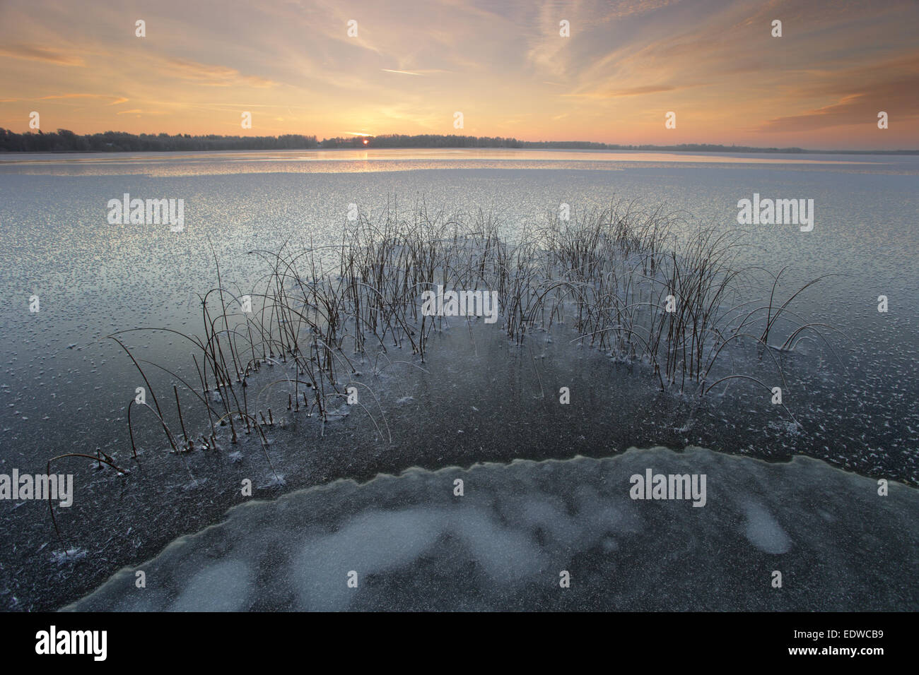 Le lac gelé et frosty Saadjärv en hiver, au coucher du soleil Paysage Vooremaa réserver, de l'Estonie. Banque D'Images