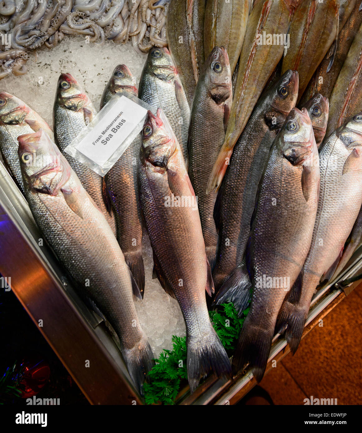 Loup de mer en vente Banque D'Images