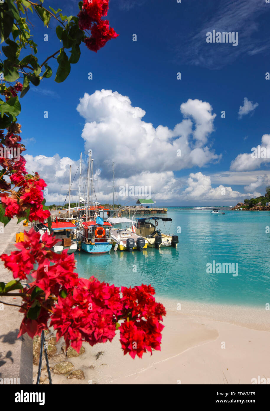 Seychelles, La Digue. Bateaux dans le port. Banque D'Images