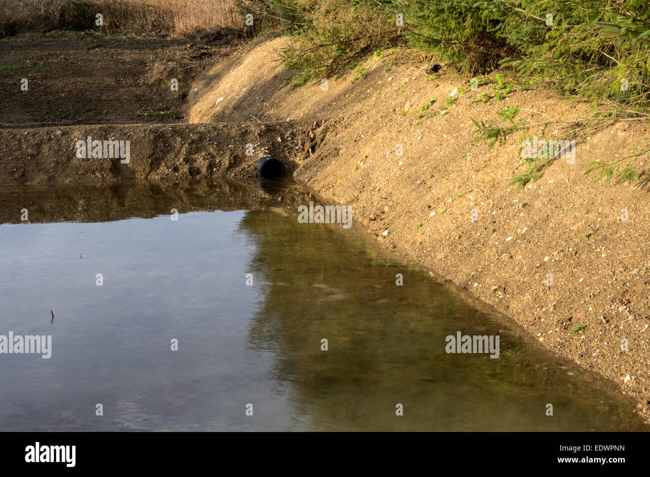 Étang creusé sur un flux d'alimentation d'un réservoir d'approvisionnement en eau, cela permettra de favoriser la faune et la qualité de l'eau d'aide Banque D'Images