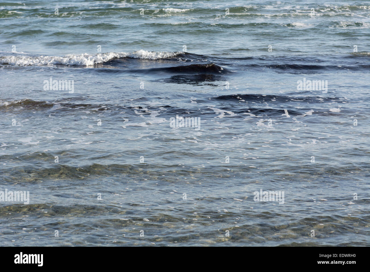 Petites vagues et l'eau peu profonde sur une plage Banque D'Images