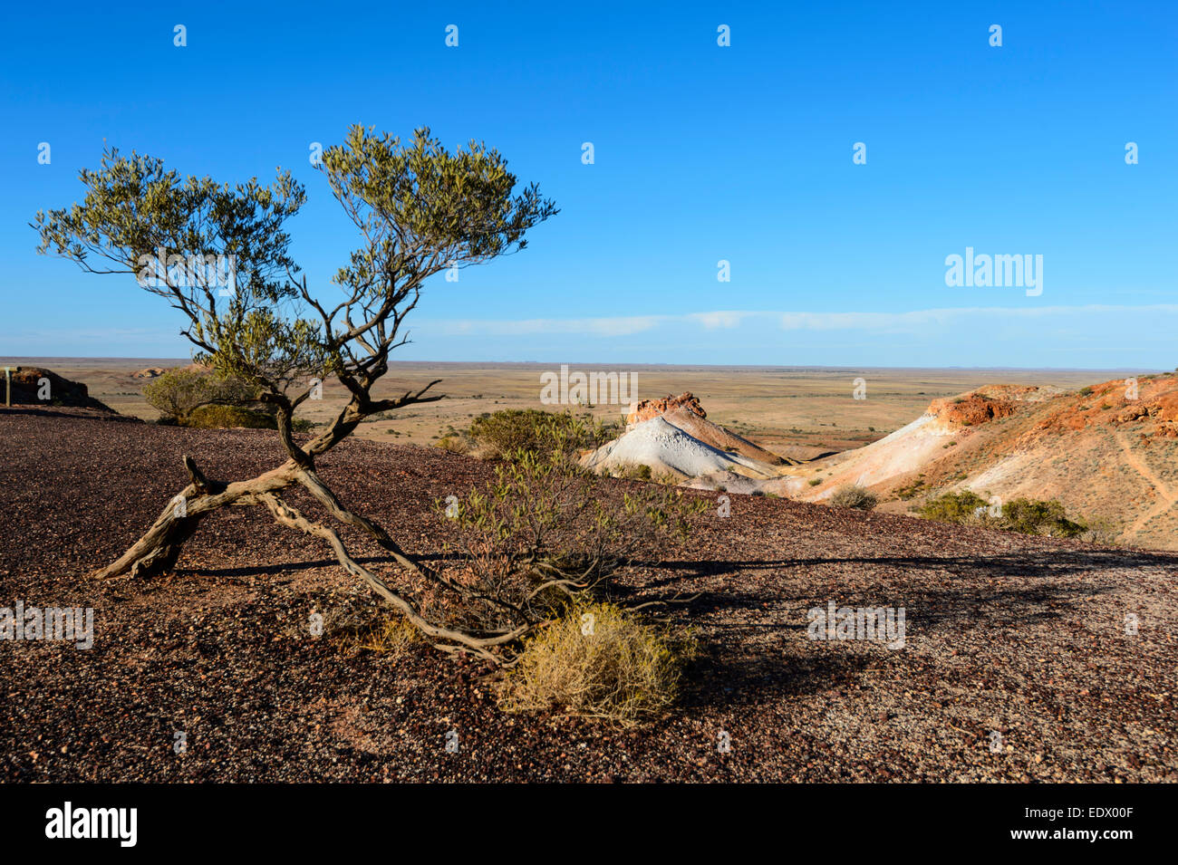 Les échappées sont un désert semi-aride faite de mesas et collines érodées, près de Coober Pedy, Australie du Sud, SA, Australie Banque D'Images