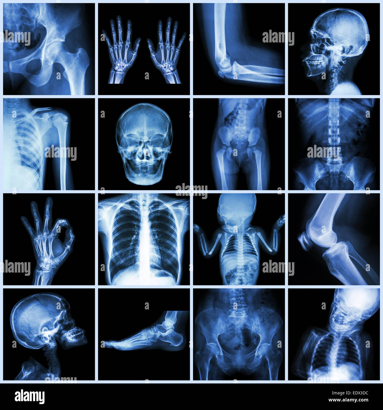 Plusieurs des droits de collecte Banque D'Images