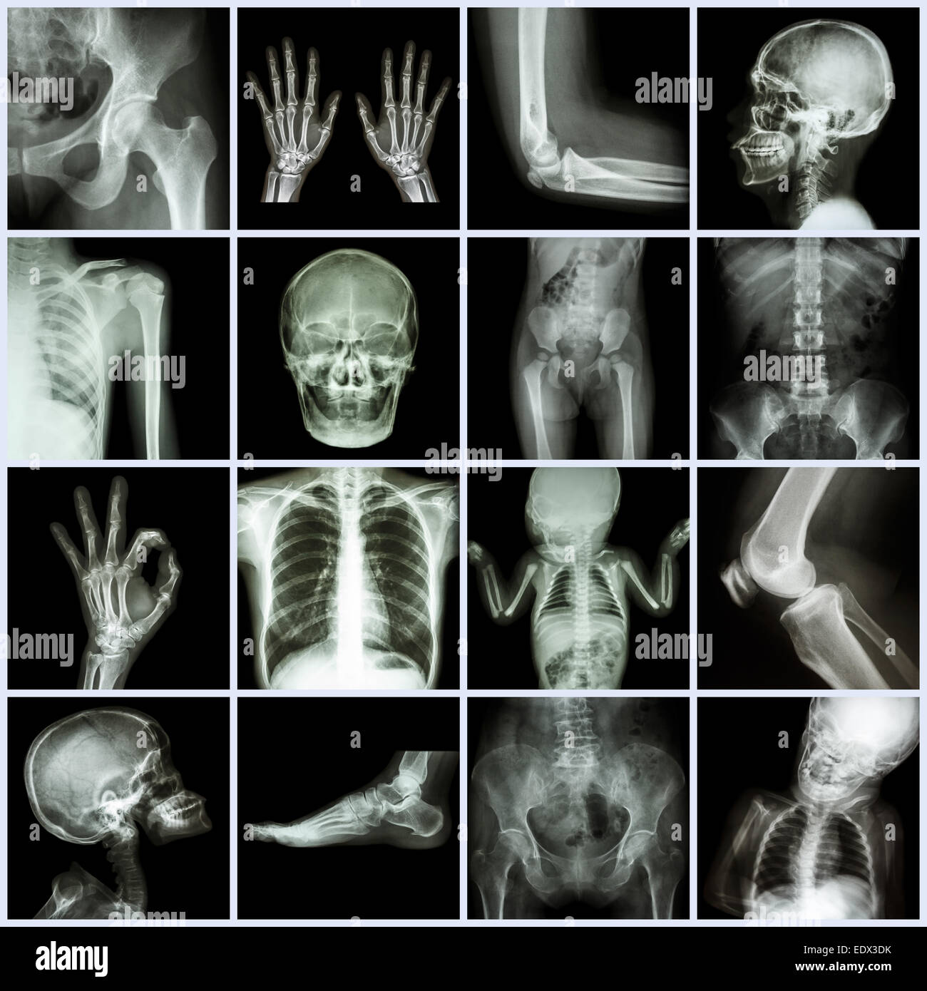 Plusieurs des droits de collecte Banque D'Images