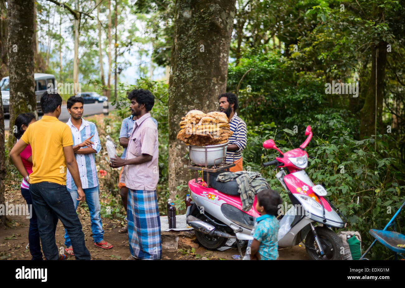 MUNNAR, INDE - 18 février 2013 : Une des personnes non identifiées sont rassemblés près du miel sauvage. L'Inde, le Kerala, Munnar. 18 février Banque D'Images