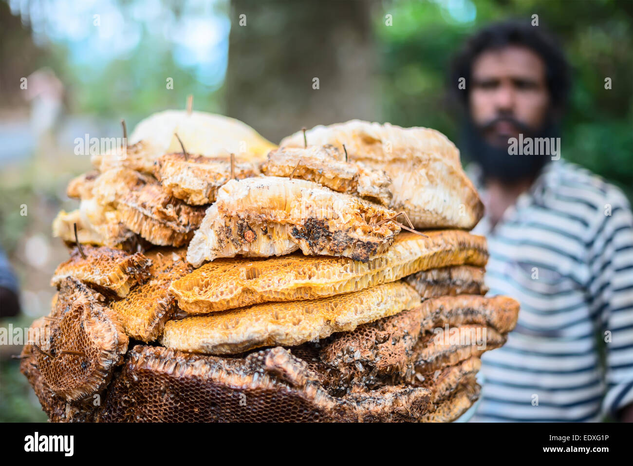 MUNNAR, INDE - 18 février 2013 : Un homme non identifié se trouve près de la miel sauvage. L'Inde, le Kerala, Munnar. 18 février, 2013 Banque D'Images