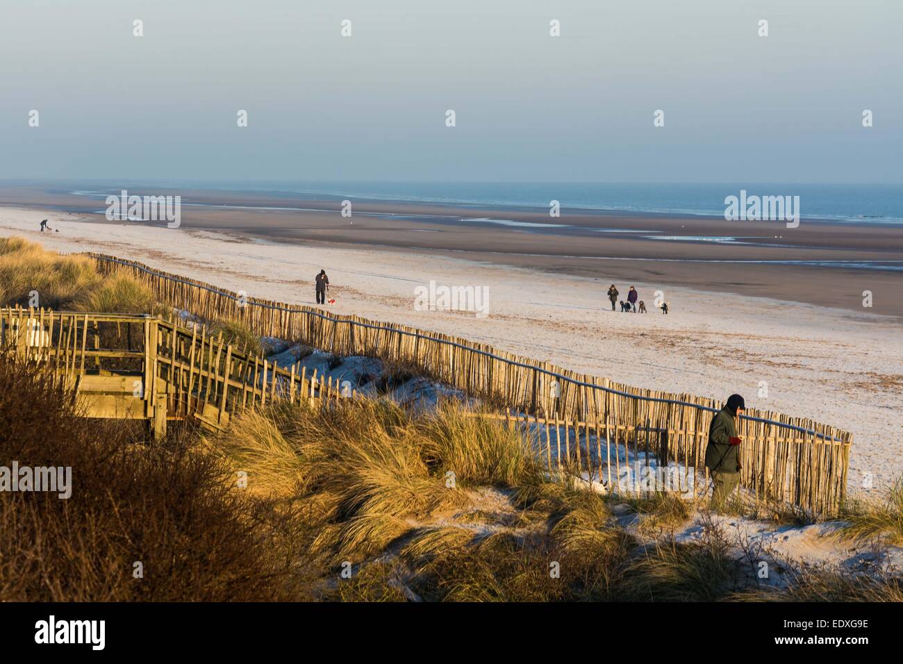 Les promeneurs de chiens sur la plage frosty Banque D'Images