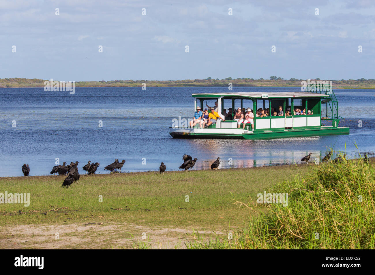 Excursion en bateau à passagers Airboat Haute Myakka Lac dans Myakka River State Park à Sarasota en Floride Banque D'Images