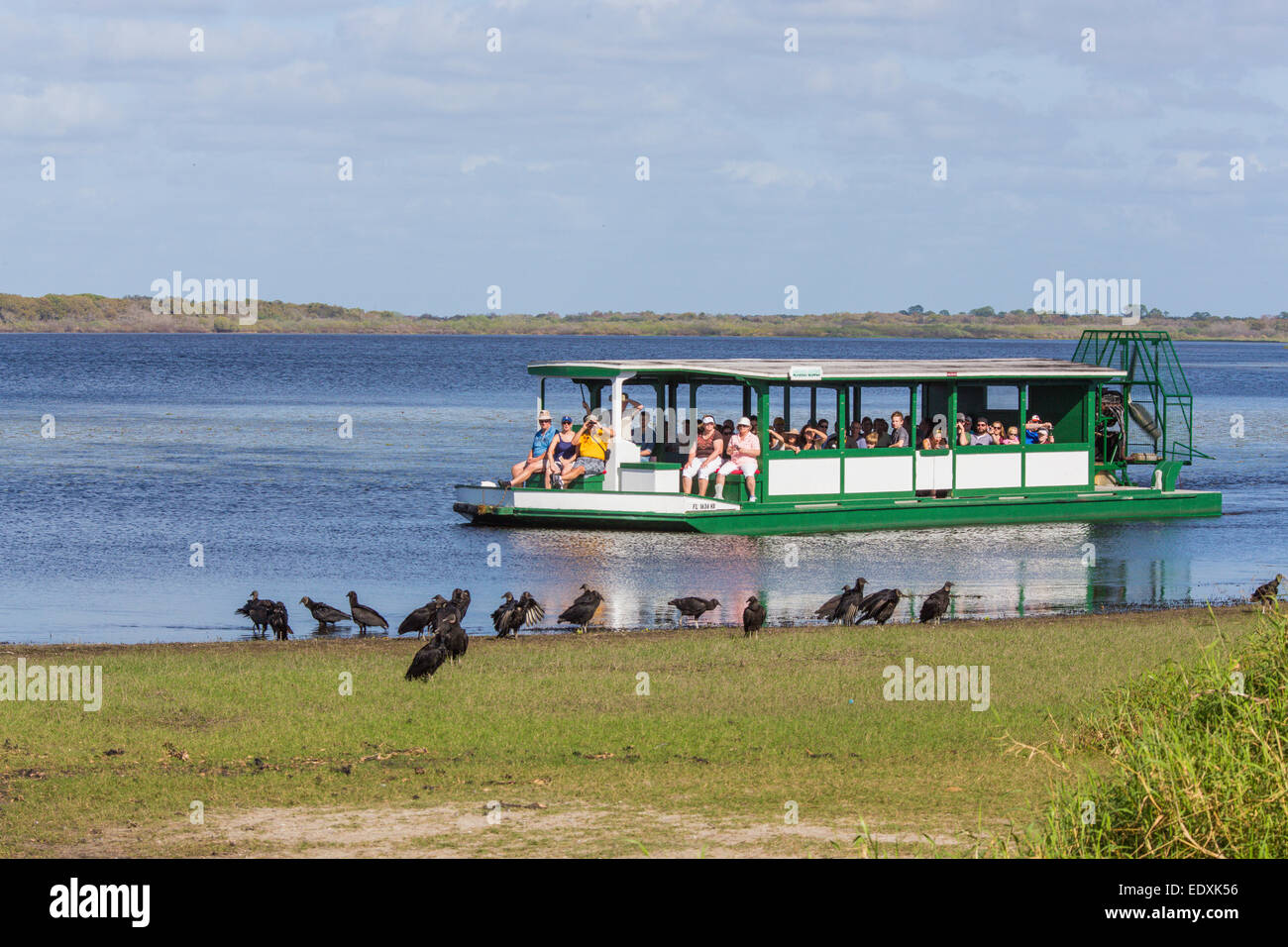 Excursion en bateau à passagers Airboat Haute Myakka Lac dans Myakka River State Park à Sarasota en Floride Banque D'Images