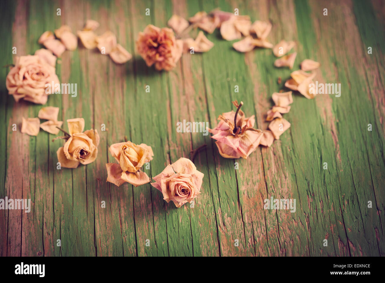 Vintage coeur de dry roses sur fond de bois. Valentines Day background Banque D'Images