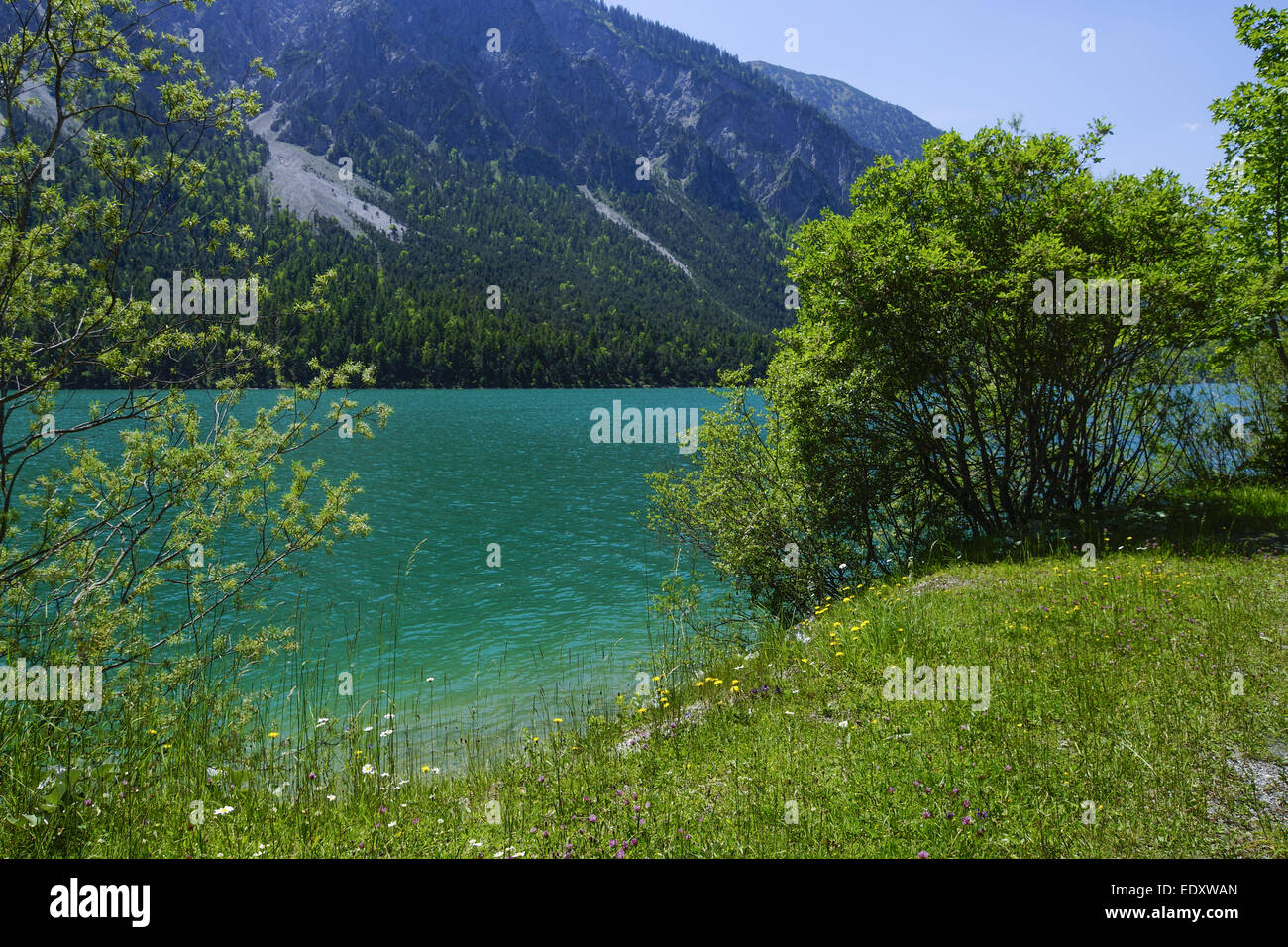 Tirol, Plansee, Ausserfern, Österreich, lac Plansee, Alpes, montagnes Ammer, Autriche, Tyrol, Lac, au nord, l'Ammergau Banque D'Images