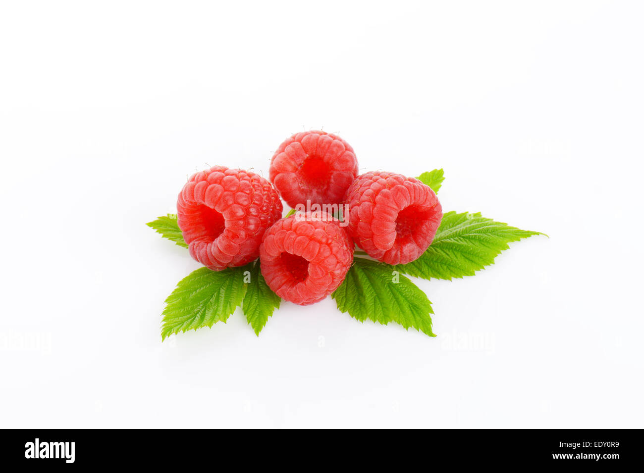 Framboises fraîches avec des feuilles sur fond blanc Banque D'Images