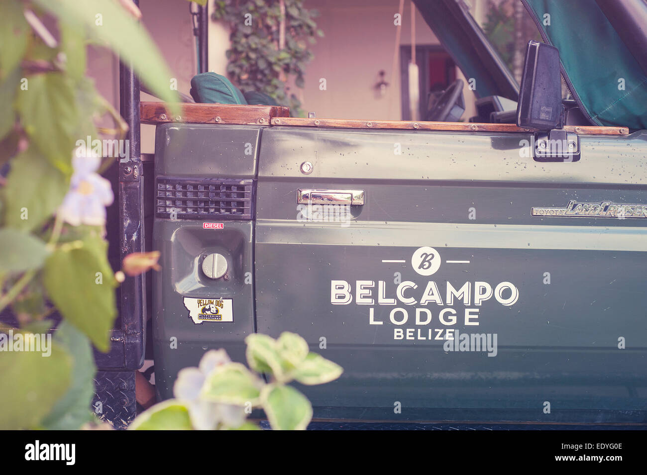 Copal Tree Lodge, Belize Banque D'Images