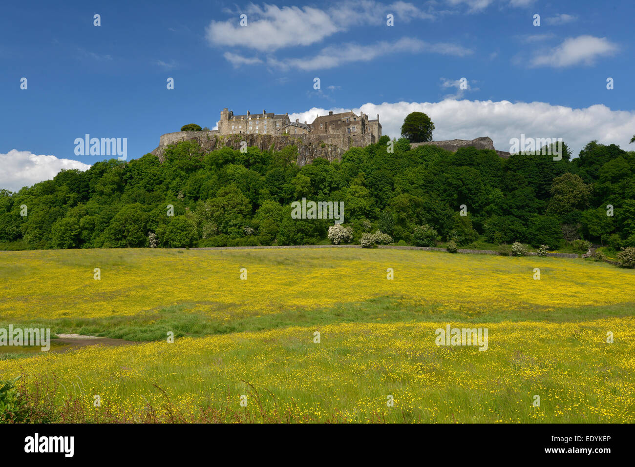 Le Château de Stirling, Stirling, Ecosse, Royaume-Uni Banque D'Images