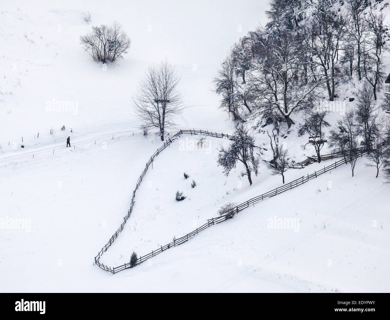 Homme marchant dans la neige sur mountain Zlatar, Serbie Banque D'Images