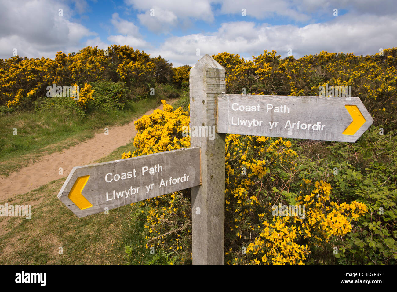 Royaume-uni, Pays de Galles, Swansea, Gower, Penmaen Burrows Coast Path signe Banque D'Images