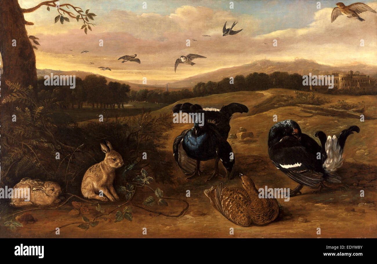 Jeu noir, des lapins et des hirondelles dans un parc de jeu noir, des lapins et des hirondelles dans le parc d'une maison de campagne Banque D'Images