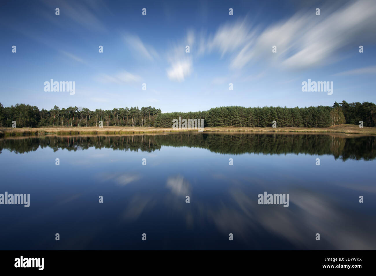 Paysage de marais avec des nuages en mouvement Banque D'Images