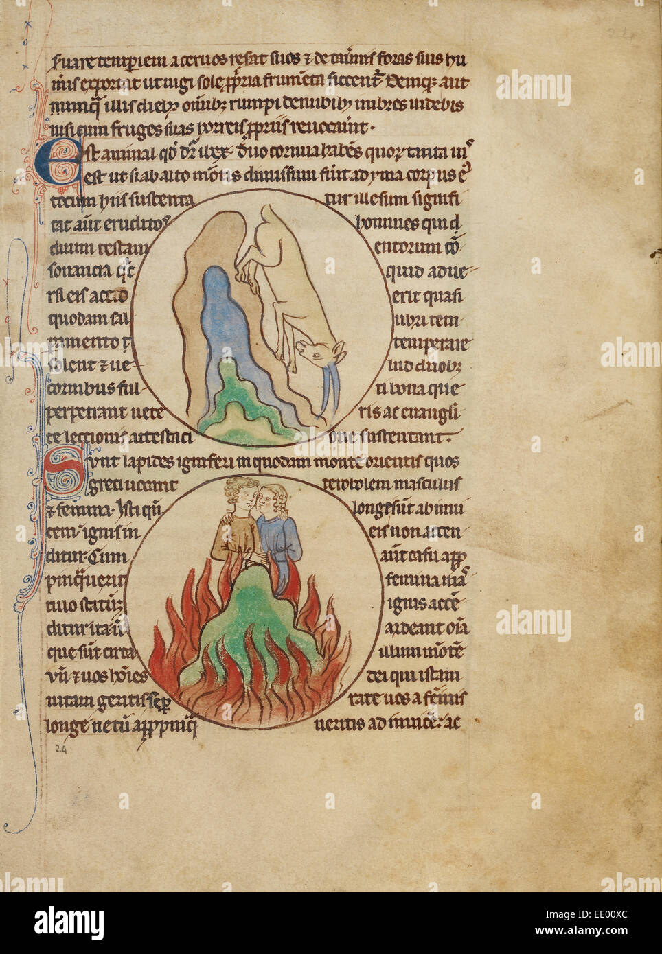 Un bouquetin, pierres de feu ; inconnu ; l'Angleterre, l'Europe ; environ 1250 - 1260 ; Pen-et-dessins à l'encre teintée de couleur du corps Banque D'Images