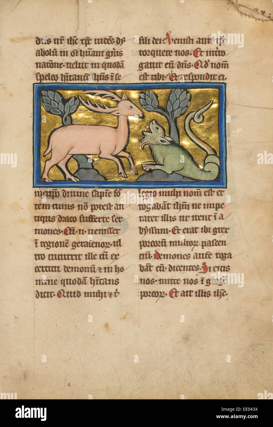 Un cerf devant un Dragon-comme serpent ; inconnu ; Thérouanne ?, France (anciennement Flandre), Europe ; quatrième trimestre de 13e siècle Banque D'Images