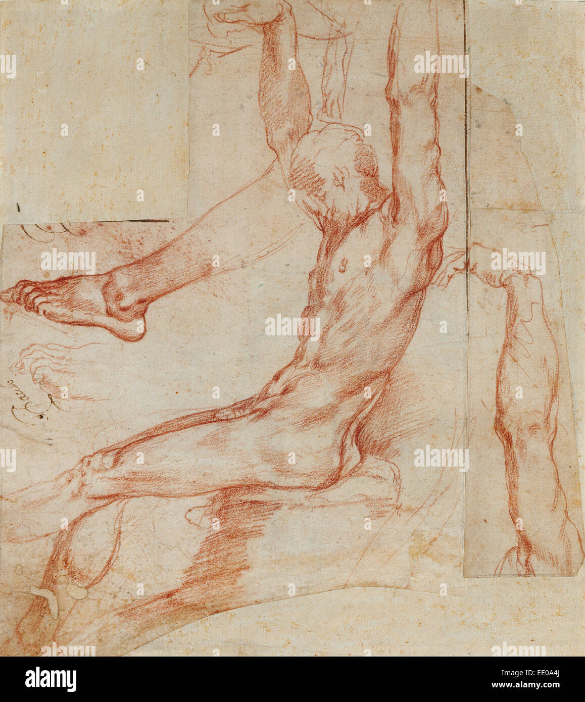Étude d'un homme avec diverses ébauches (recto), de l'étude d'un homme drapé de la jambe (verso), Polidoro da Caravaggio (Polidoro Caldara) Banque D'Images