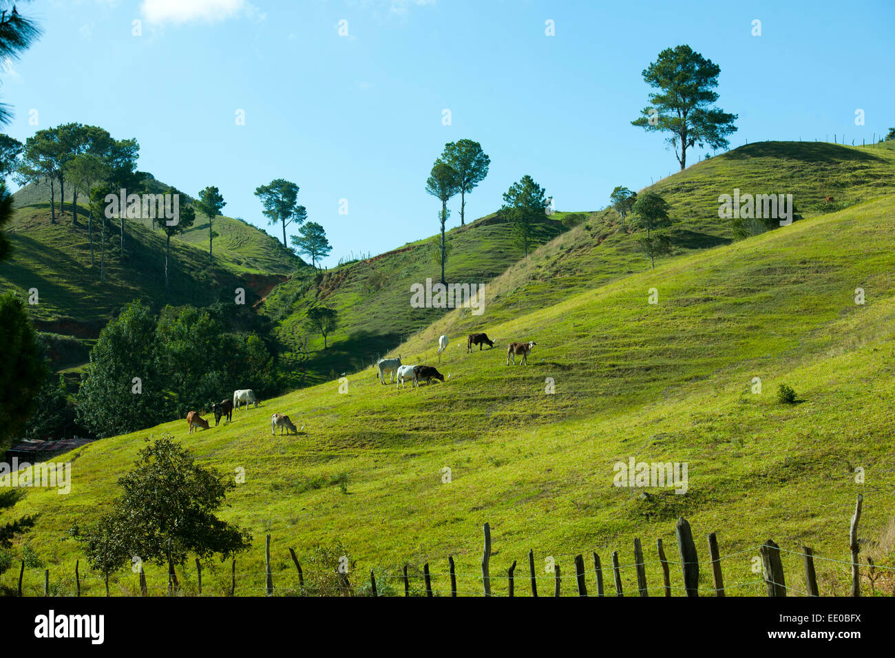 Dominikanische Republik, Cordillère centrale, Landschaft südlich von Constanza an der Carretera al Salto de Aguas Blancas (Strass Banque D'Images