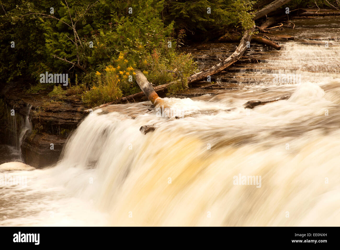 Tahquamenon Falls, au Michigan Banque D'Images