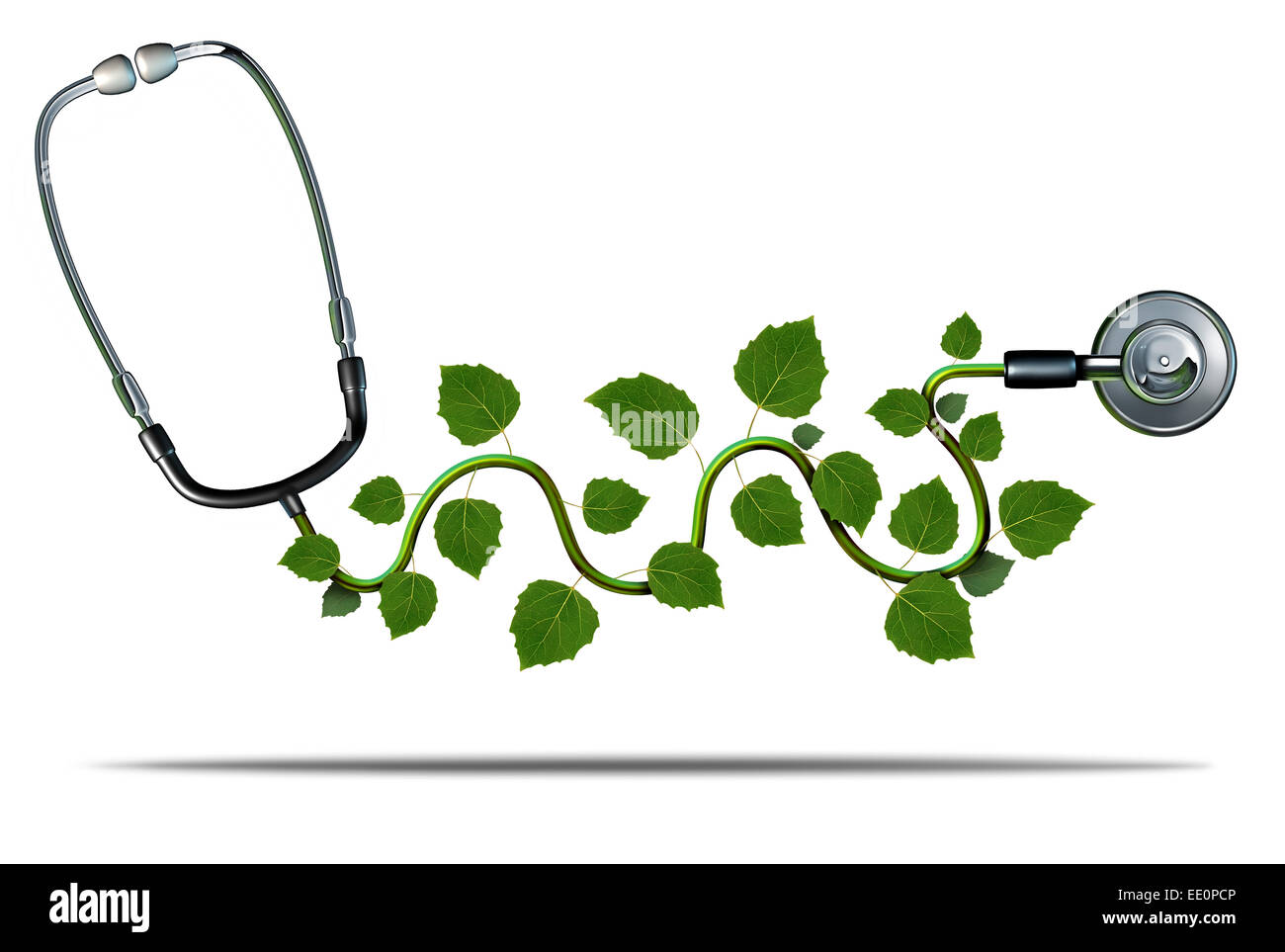 Médecine naturelle et thérapie concept comme un médecin stéthoscope avec les feuilles des plantes qui croissent sur le matériel médical comme un Banque D'Images