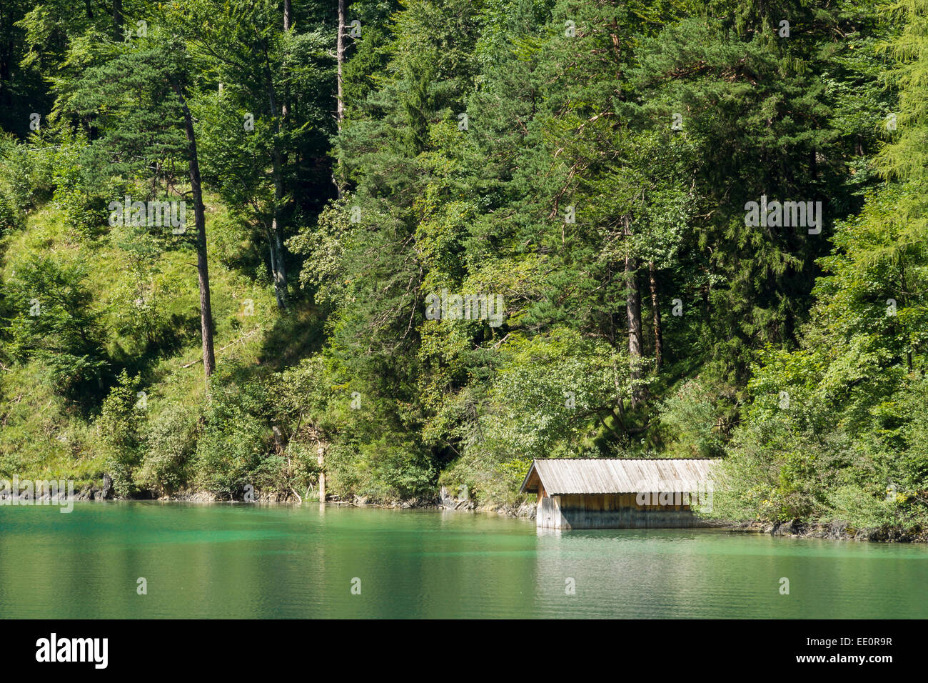 Alpine Lake Alpsee dans Ostallgau district de Bavière, près de Neuschwanstein et Hohenschwangau. L'Allemagne, de l'Europe. Tre vert Banque D'Images