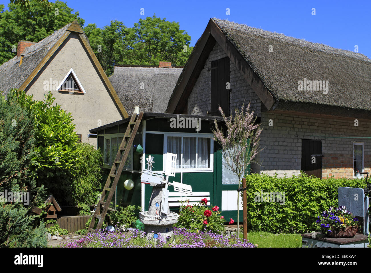 Dorf Vitt, Kap Arkona, Insel Rügen, Mecklenburg-Vorpommern, Allemagne Banque D'Images