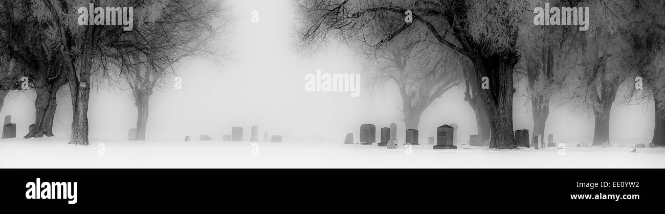 Les pierres tombales dans le cimetière nord de l'Oregon en poudre sur un jour d'hiver brumeux. Banque D'Images