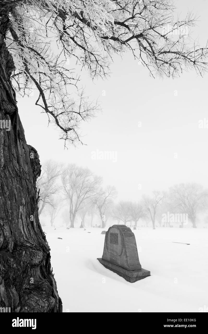 Pierre tombale dans le cimetière nord de l'Oregon en poudre sur un jour d'hiver brumeux. Banque D'Images