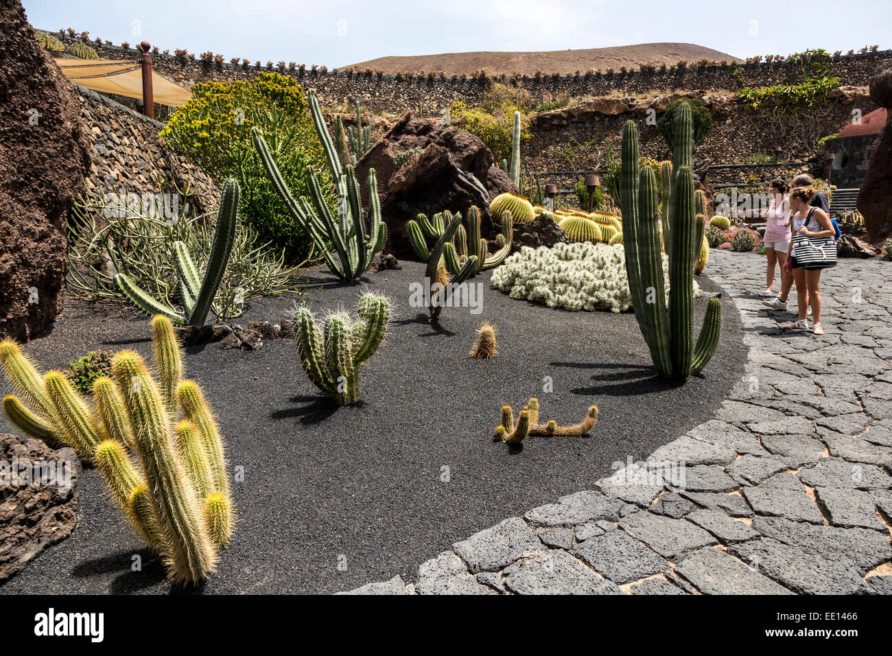 Les touristes dans le jardin de cactus, Lanzarote, îles Canaries, Espagne Banque D'Images
