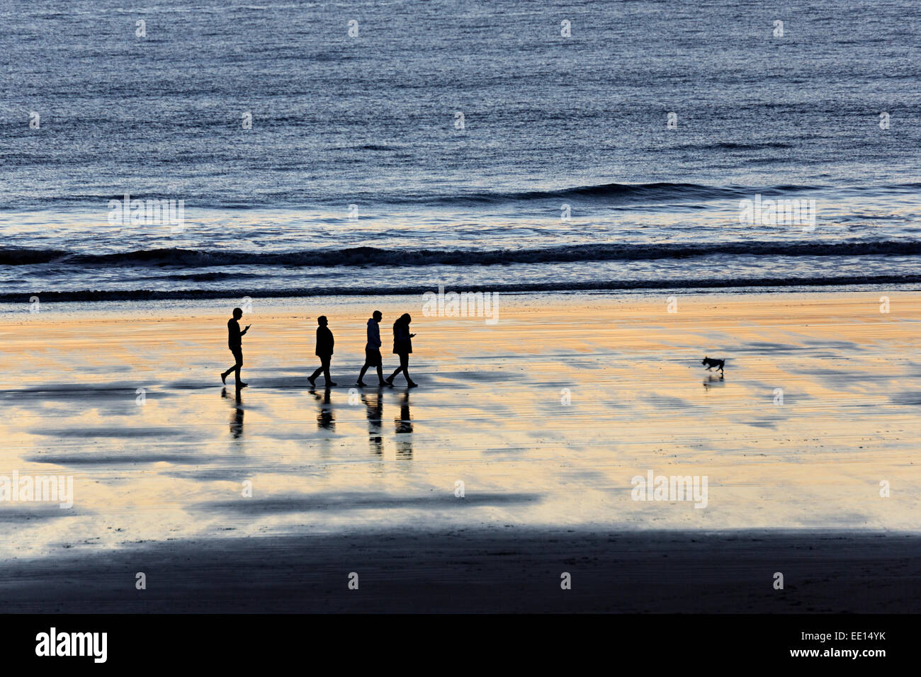 Les gens texter en balade sur la plage avec un chien à marée basse, Southerndown, côte du Glamorgan, Pays de Galles, Royaume-Uni Banque D'Images