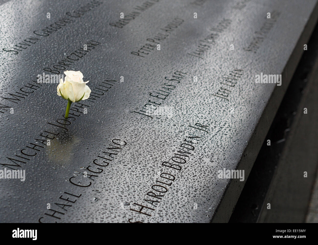 World Trade Center Memorial noms avec White Rose. Un jour de pluie, une seule rose blanche orne le nom Michael Joseph Mullin Banque D'Images