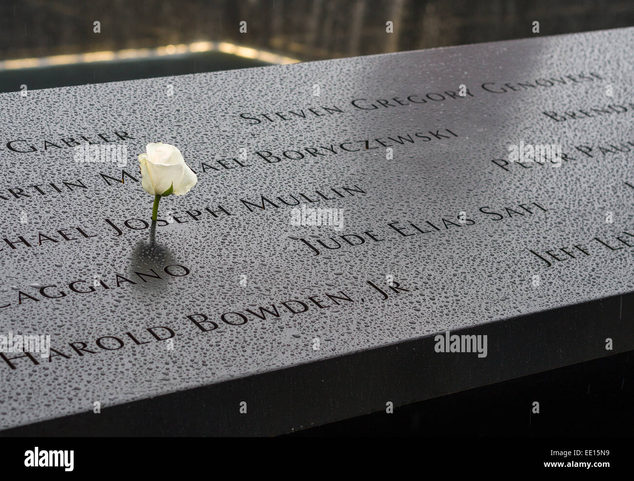 World Trade Center Memorial noms avec White Rose. Un jour de pluie, une seule rose blanche orne le nom Michael Joseph Mullin Banque D'Images