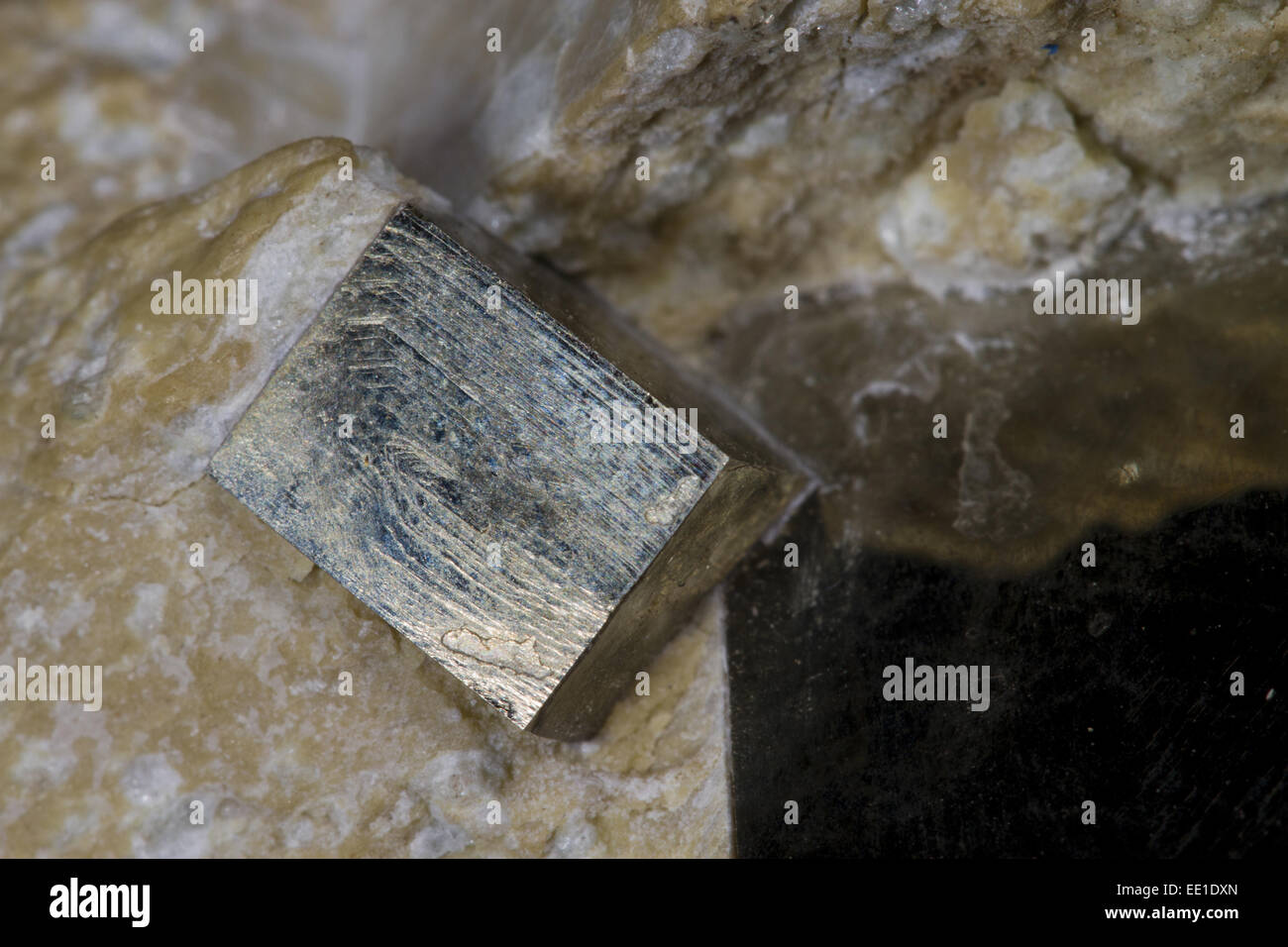 Minéraux, de la pyrite de fer ou l'or des fous les cristaux, les cristaux cubiques sur roche hôte Banque D'Images