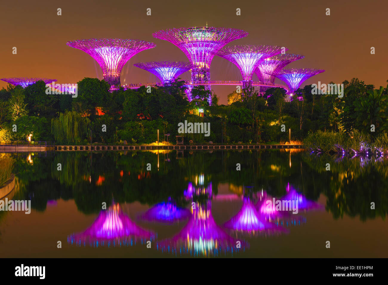 Gardens by the Bay se reflétant dans l'eau la nuit, à Singapour, en Asie du Sud-Est, l'Asie Banque D'Images