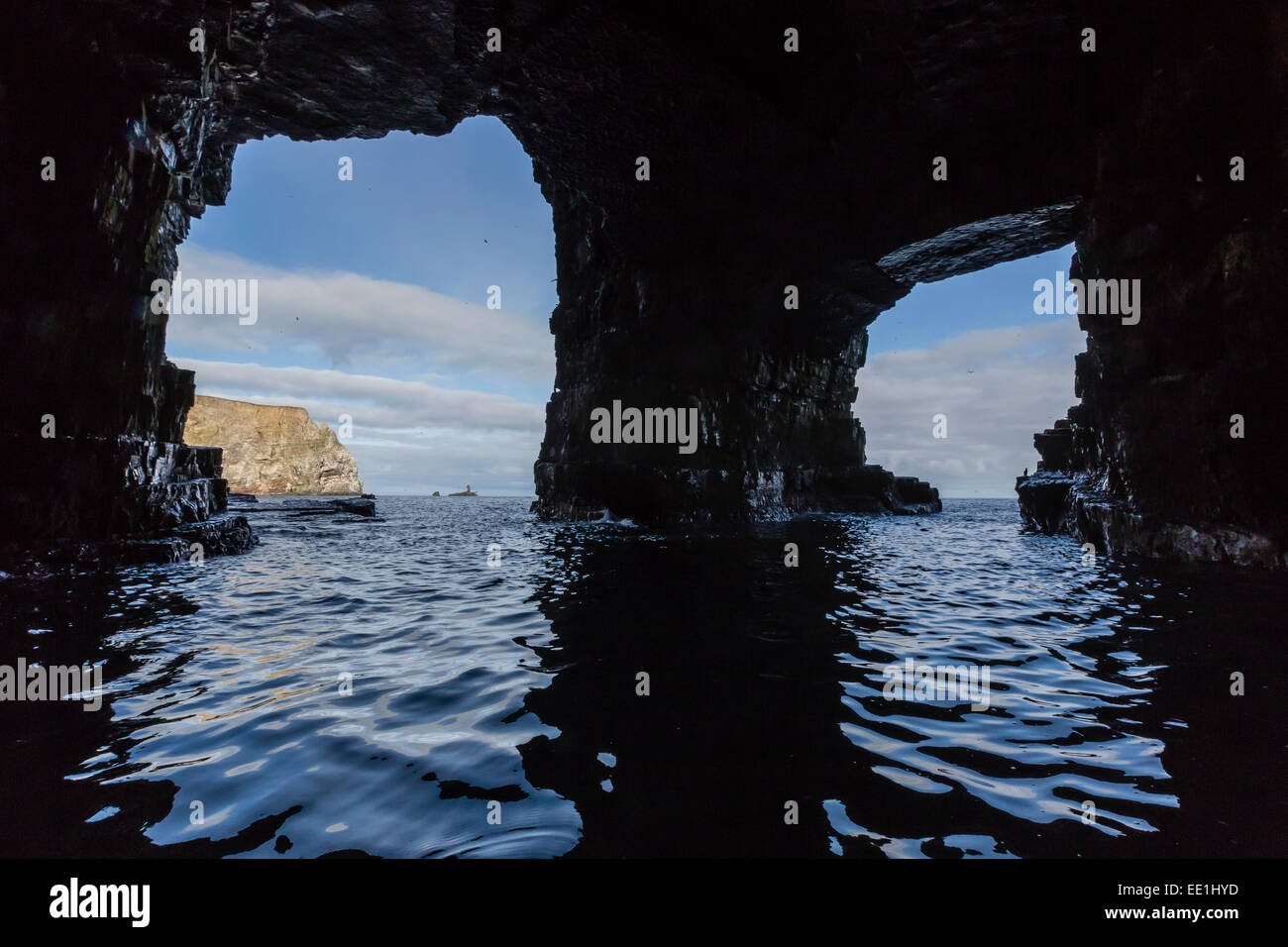 Les grottes de la mer remplie d'oiseaux nichant sur le côté sud de Bjornoya, Bear Island, Norway, Scandinavia, Europe Banque D'Images