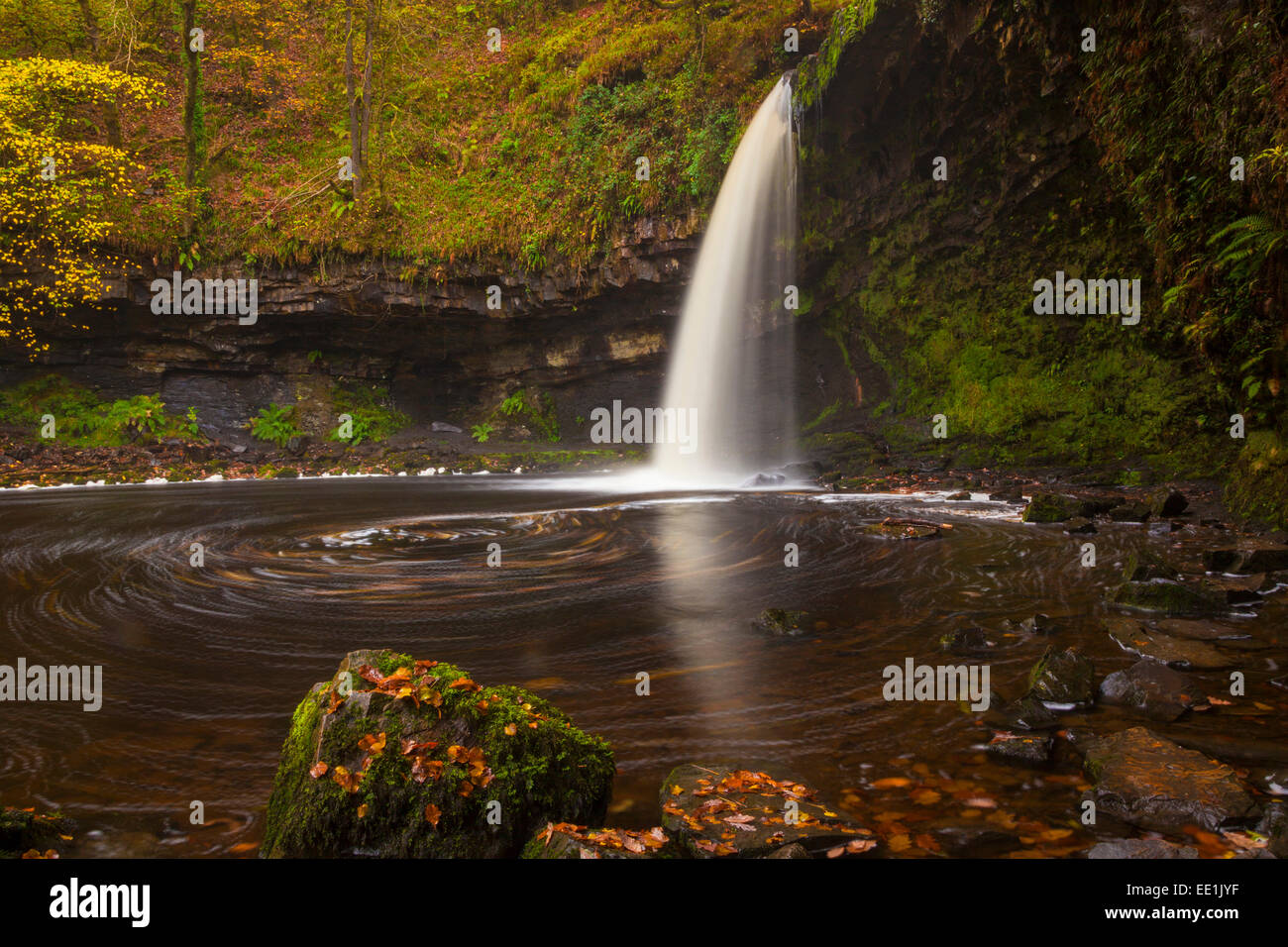 Sgwd Gwladys (Lady Falls), Afon Pyrddin, près de Pontneddfechan, parc national de Brecon Beacons, Powys, Pays de Galles, Royaume-Uni, Europe Banque D'Images